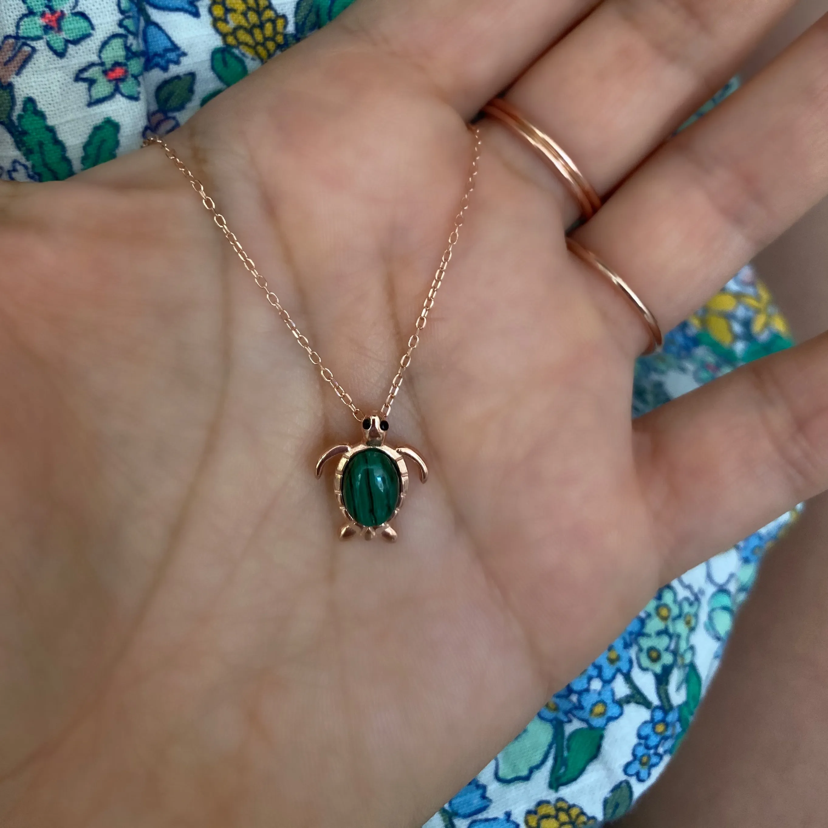 Cute Little Turtle
